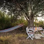 Anamnisis Tatil Evi