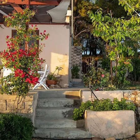 Anamnisis Tatil Evi *